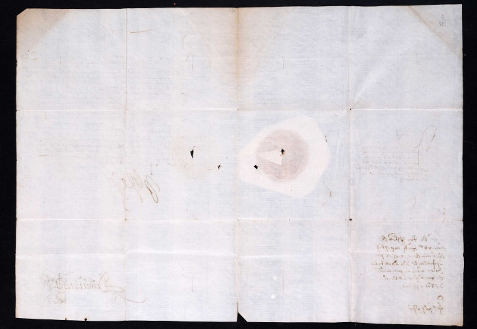 Délégation donnée par Philippe II au Conseil d'Etat pour le gouvernement des Pays-Bas en attendant le remplacement de feu L. de Requesens (24 mars 1576).