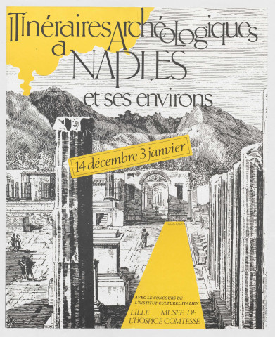 Musée de l'Hospice Comtesse. Itinéraires archéologiques à Naples et ses environs. Exposition.