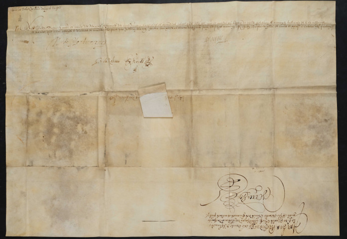 Lettres-patentes des archiducs réformant la décision qui avait induement attribué à Jean Hovine, procureur fiscal de Valenciennes, des biens sis à Lannoy, Lompret et Berchem bénéficiant de la non-confiscation (7 octobre 1614).