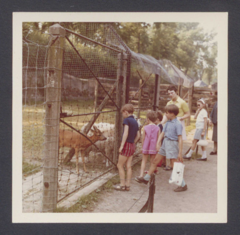 Citadelle de Lille dans son ensemble.