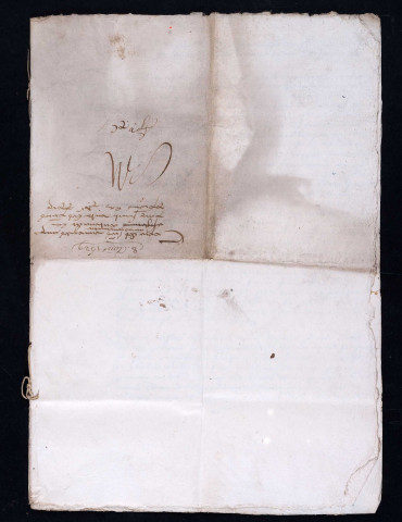 Mandement de Marguerite d'Autriche, régente, sur la publication de la paix de Cambrai (8 août 1529).