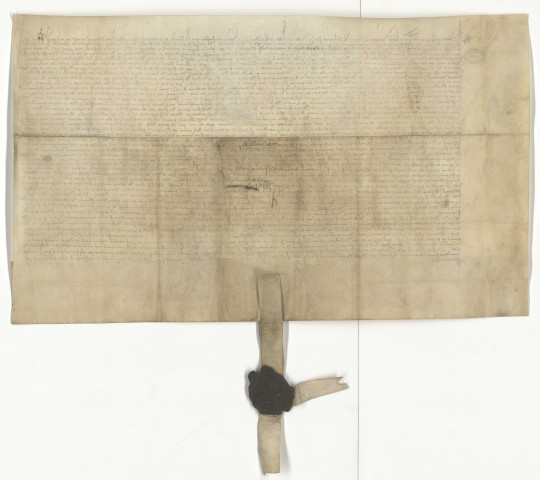 Main-levée de la saisie de la châtellenie de Lille, de la seigneurie de La Boutillerie et de celle d'Haubourdin au profit de Pierre de Luxembourg, comte de Brienne, fils du défunt comte de Saint-Pol, en exécution du privilège de non-confiscation, et de la seigneurie de « Borgueval » en Brabant, revenant audit Pierre du chef de sa mère Jeanne de Bar, première femme du défunt (27 mars 1477).