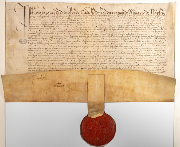 Lettres-patentes de Philippe II contraignant les habitants et le Chapitre Saint-Pierre, les membres de la Chambre des Comptes et les officiers de la Gouvernance à participer au démantèlement du château (16 janvier 1578).