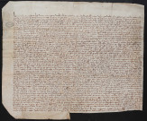 Sentence de Pierre de Galard, capitaine du roi de France en Flandre, sur le conflit entre l'échevinage de Lille et Robert dit de Wavrin au sujet du droit d'arsin (11 juin 1313).