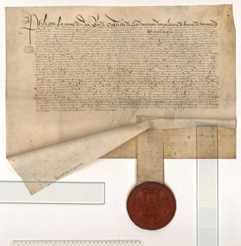 Serment par les députés de la châtellenie de Lille et des villes du ressort à Philippe II avec insertion du serment prêté par ce souverain (25 juillet 1557).