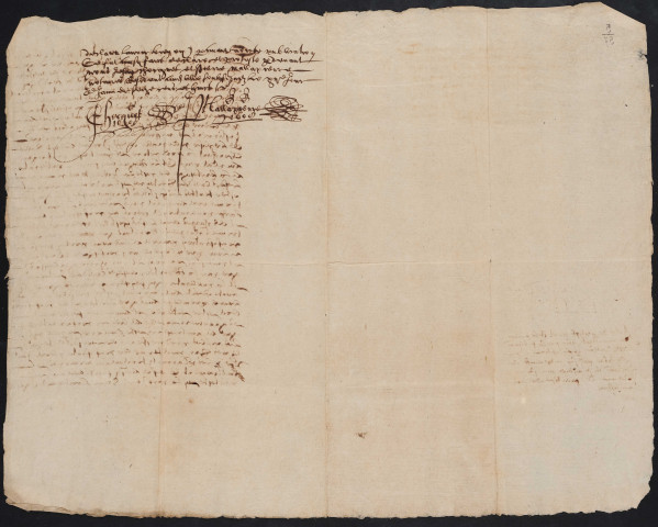 Déclaration du Magistrat en matière de non-confiscation au sujet d'un procès concernant la bourgeterie et la sayetterie au plat-pays de Lille (12 janvier 1608).