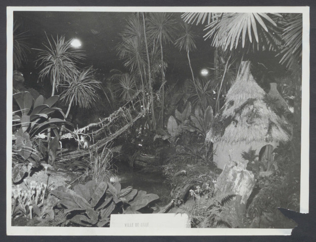 Salon du confort ménager, floralies