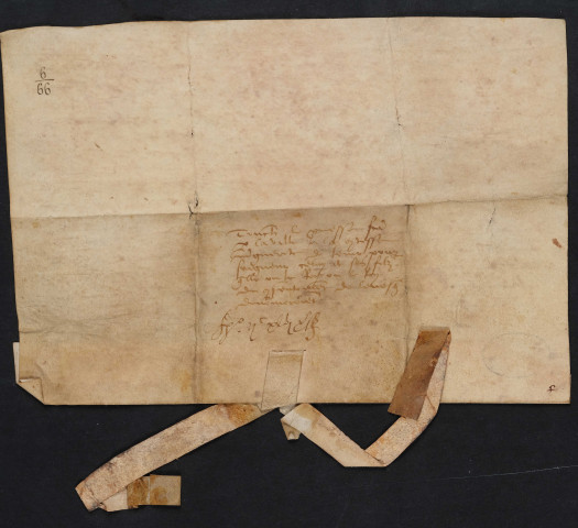 Promesse faite à la ville de Lille par Marguerite, comtesse de Flandre, de reconnaître peur seigneur celui de ses enfants qui serait désigné par elle ou le roi de France avec le consentement de l'évêque de Tournai (mars 1246).