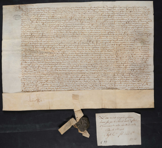 Extraits du Livre Roisin et des Registres aux Mémoires concernant les privilèges d'avril 1341 et formulaire des serments prêtés par te souverain (18 septembre 1518).