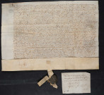 Extraits du Livre Roisin et des Registres aux Mémoires concernant les privilèges d'avril 1341 et formulaire des serments prêtés par te souverain (18 septembre 1518).