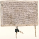 Déclaration du Chapitre au sujet de l'accord avec le Magistrat sur le droit de chaussée (20 juin 1339).