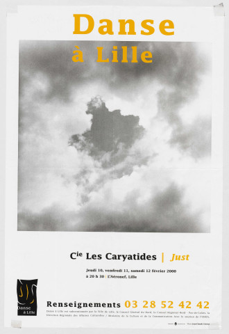 Festival Danse à Lille. Compagnie les Caryatides.