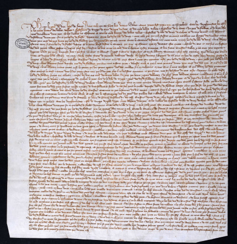 Confirmation par le roi de la sentence sur le procès entre Lille, Gand, Bruges et Ypres au sujet de leur participation à la contribution exigée en Flandre (18 avril 1339).