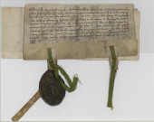 Lettres-patentes de Marguerite, comtesse de Flandre, et de Guillaume, son fils, portant suppression des droits de tonlieu et d'étalage dans l'étendue de l'échevinage de Lille (2 décembre 1247).