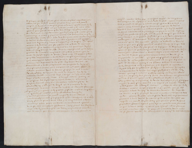 Sentence du Grand-Conseil de Malines sur le procès de Chrétienne de Ferrare, veuve de Nicolas de Landas, sr de Heule, contre Schets de Grobben-doncq, sr de Heyst, en non-confiscation (20 janvier 1601).