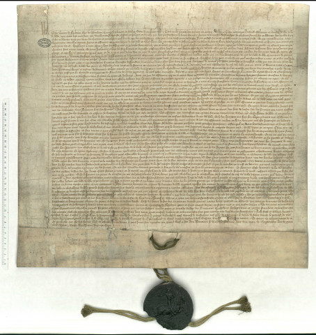 Privilèges accordés à la ville par Louis de Male, comte de Flandre (08 septembre 1377).