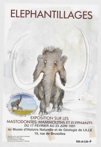 Musée d'Histoire Naturelle et de Géologie. Eléphantillages. Exposition sur les mastodontes, mammouths et éléphants.