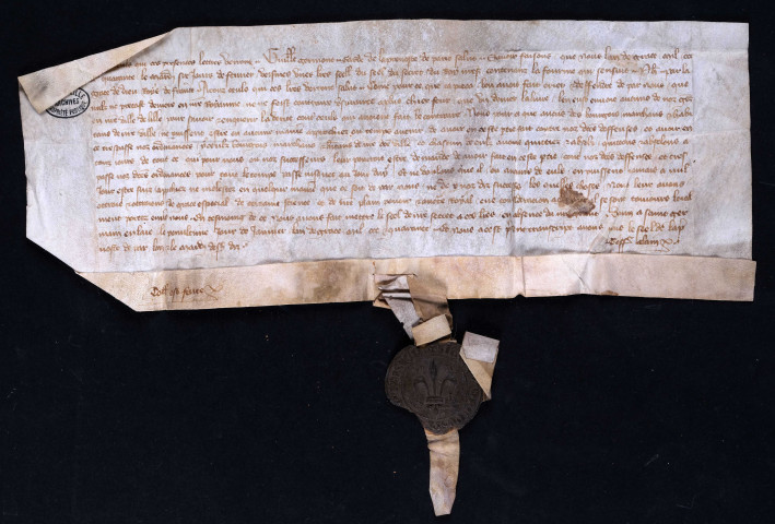 Dispense accordée par le roi aux habitants de Lille qui auraient transgressé les ordonnances sur l'usure (30 janvier 1341).