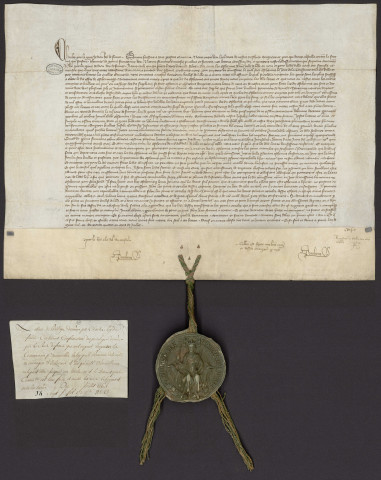 Confirmation par Charles V du privilège concernant l'intervention du procureur de la ville dans le renouvellement de la loi (Juillet 1364).