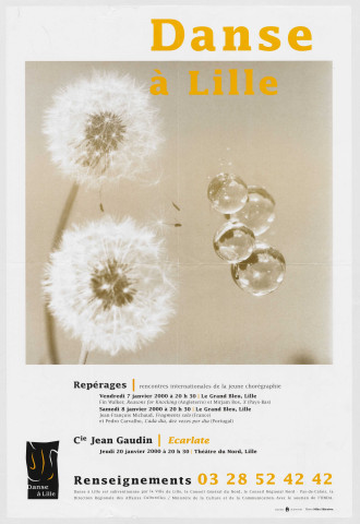 Festival Danse à Lille. Repérages. Rencontres internationales de la jeune chorégraphie.