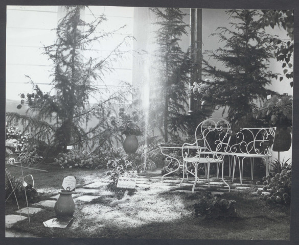 Exposition Lille 1961. Hôtel de ville, palais Rameau