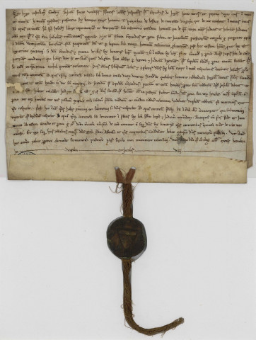 Approbation par Hugues, châtelain de Gand, d'une donation de six bonniers de terres situées à Lesquin, faite par Gérard d'Ingrin (24 décembre 1238).
