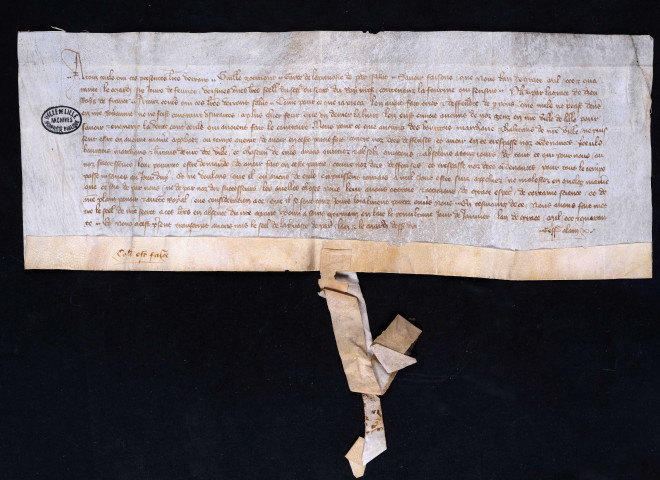 Dispense accordée par le roi aux habitants de Lille qui auraient transgressé les ordonnances sur l'usure (30 janvier 1341).