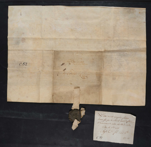 Extraits du Livre Roisin et des Registres aux Mémoires concernant les privilèges d'avril 1341 et formulaire des serments prêtés par te souverain (18 septembre 1518).