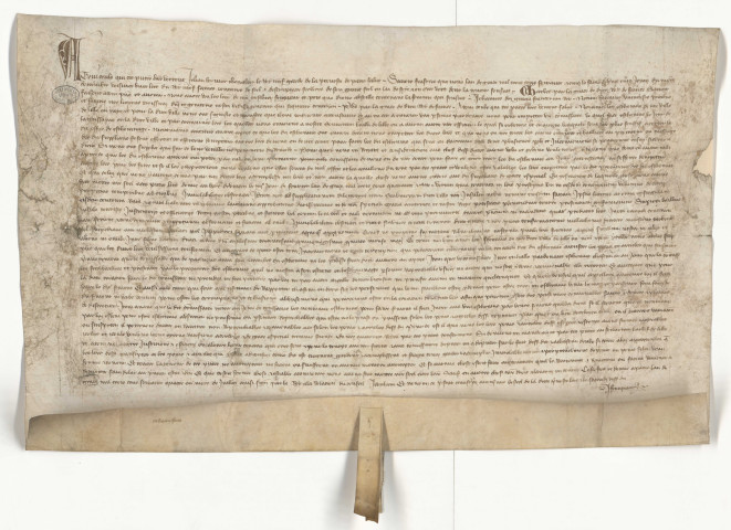 Vidimus parchemin délivré par la prévôté de Paris de Paris