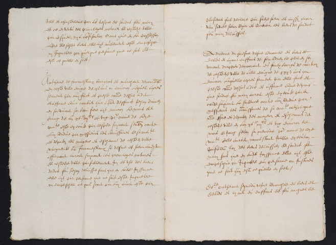 Attestations portant que les biens de Jean Drumez, bourgeois de Lille, d'Adrien Leplat, drapier, et de Michel Lefèvre, teinturier, exécutés pour crime de trahison, ont bénéficié du privilège de non-confiscation (8 mai 1590).