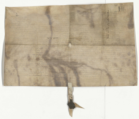 Vidimus parchemin délivré le 22 novembre 1351 par le Souverain Bailliage de Lille