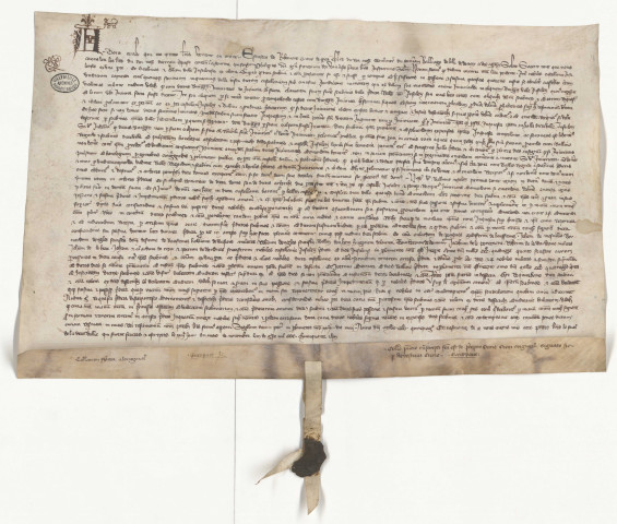 Vidimus parchemin délivré le 22 novembre 1351 par le Souverain Bailliage de Lille