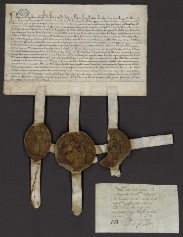Assignation par la comtesse de Flandre de 100 livres de rente en faveur de la ville de Lille sur les revenus des halles de cette ville (avril 1279).