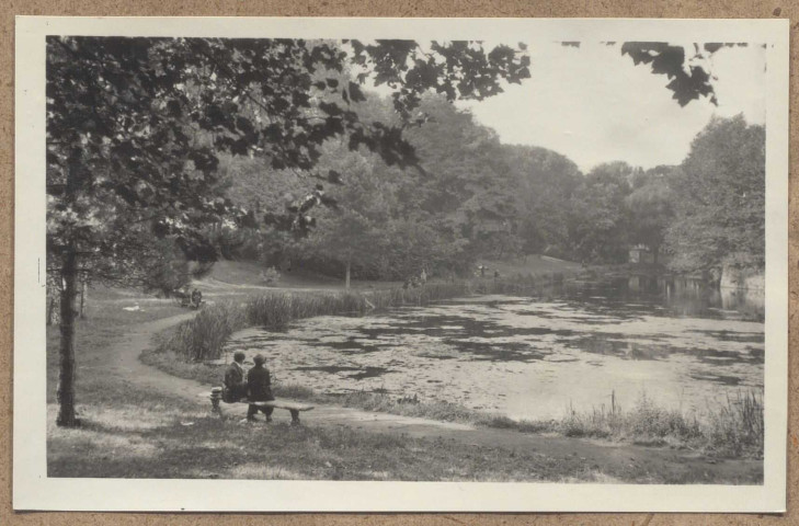 Le bois de la Deûle.