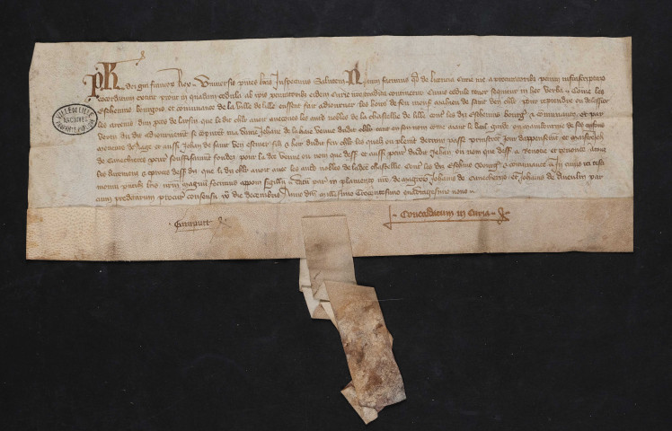 Homologation par le Parlement de Paris de la renonciation faite par les héritiers de Mahieu de Saint-Venant, chevalier, au privilège d'arsin (9 décembre 1349).