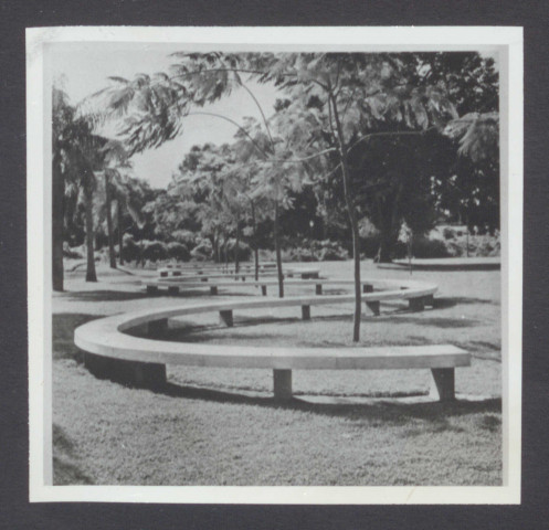The tropical gardens of Burle Marx