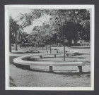 The tropical gardens of Burle Marx