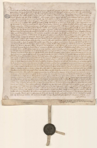 Vidimus de l'arrêt du Parlement de Paris déboutant les nobles de la châtellenie de Lille s'opposant au droit d'arsin (27 juin 1350).
