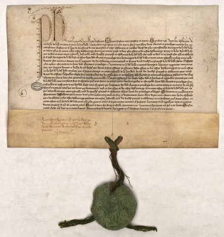 Lettres patentes du roi de France portant que nul ne peut être élu à l'échevinage de Lille ou à un autre office de la Loi de cette ville, s'il n'est justiciable du bailli, prévot ou échevinage de ladite ville (février 1347).