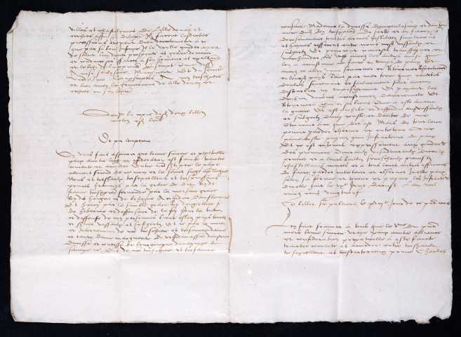 Mandement de Marguerite d'Autriche, régente, sur la publication de la paix de Cambrai (8 août 1529).