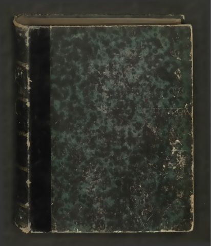 Rapport au Conseil Municipal sur l'administration de la Ville pendant l'année 1878