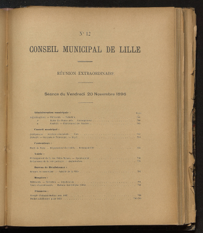 séance du 20 novembre 1896