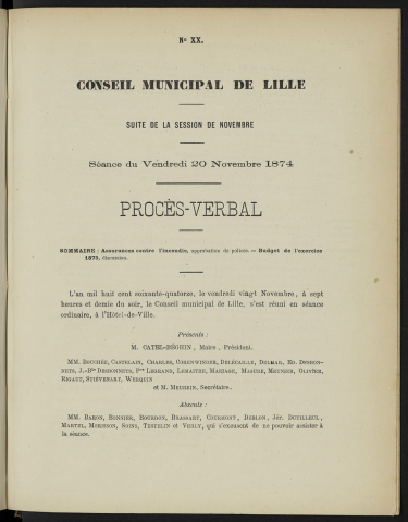 séance du 20 novembre 1874